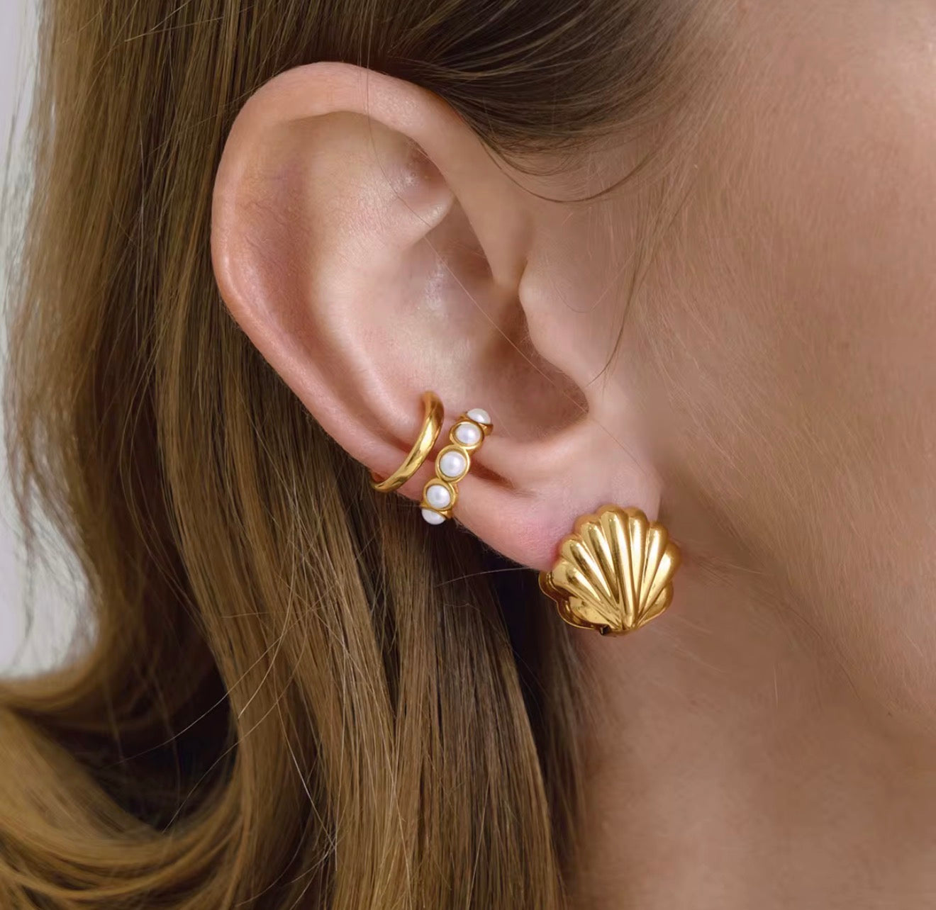Sunny Shells